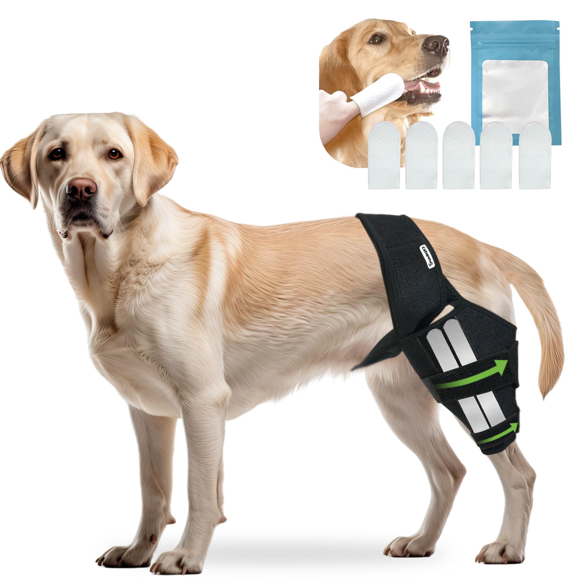Dog ACL Knee Brace — Joint Support for Front & Back Legs